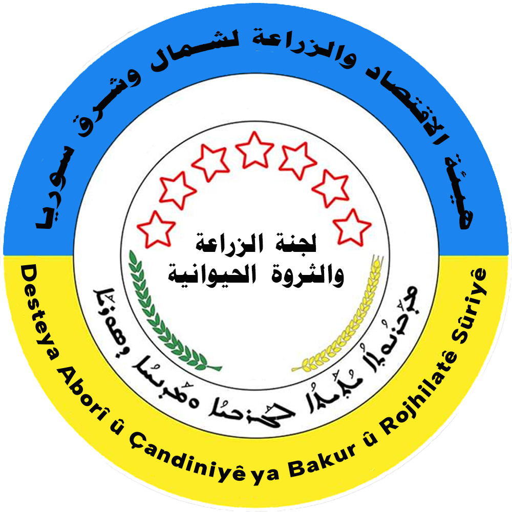 شعار داكن